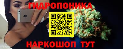 индика Первоуральск