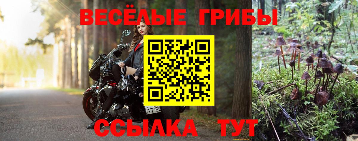Реутов  Псилоцибиновые грибы MAGIC MUSHROOMS  Вход с VPN 